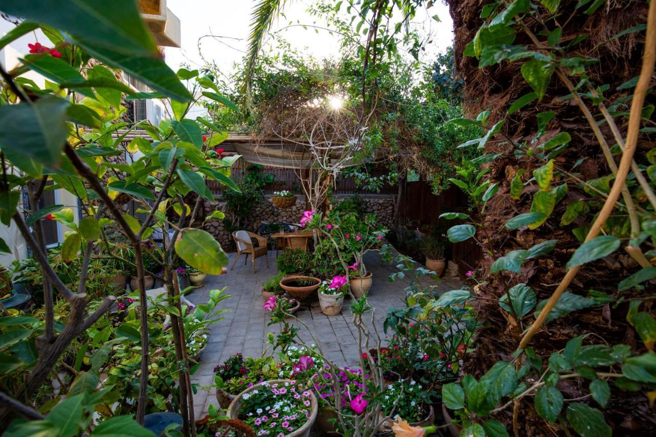 Gil'S Guest Rooms Neve Zohar Exterior foto