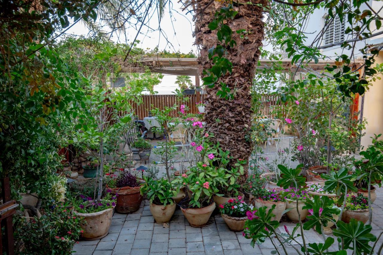 Gil'S Guest Rooms Neve Zohar Exterior foto